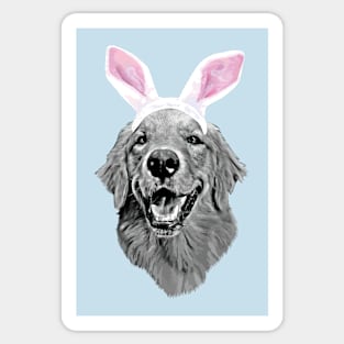 Golden Retriever Bunny Sticker